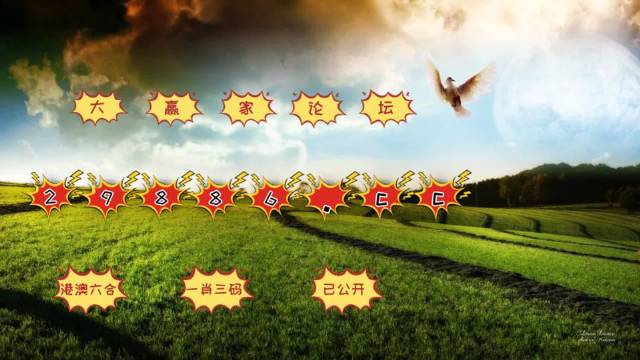 4949澳门开奖结果查询,词语释义、解释和落实和警惕虚假宣传-全面释义、解释和落实